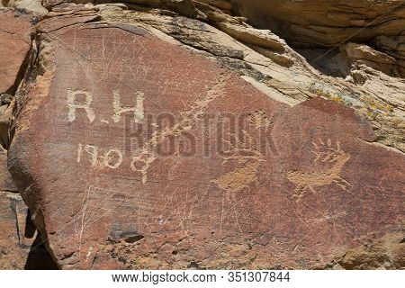 Modern Graffiti That Is Over A Hundred Years Old On A Sandstone Rock With Animal Petroglyph Carvings