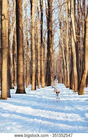Two Sisters In Winter Clothes. It Is Winter And Snow. Children Run Through The Winter Forest With A 