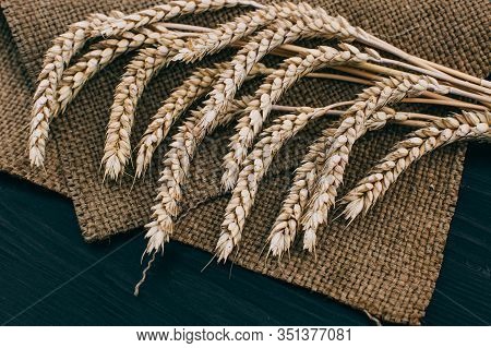 Spikelets Of Ripe Wheat On Wooden Background. Healthy Food