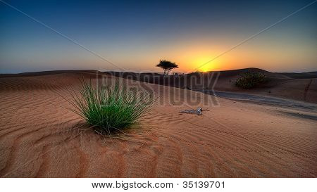 Sunset