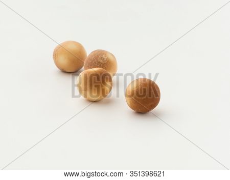 Kurt On A White Background