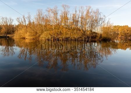 Mirror Forest Lake With Reflection In Winter Sunny Day, De Kempen Regio In North Brabant, Netherland