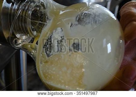The Sampling Of Beer From A Barrel In A Brewery.
