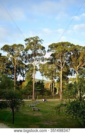 Jose Antonio Pernas Peon Park In The City Of Viveiro, Lugo, Galicia. Spain. Europe. September 30, 20