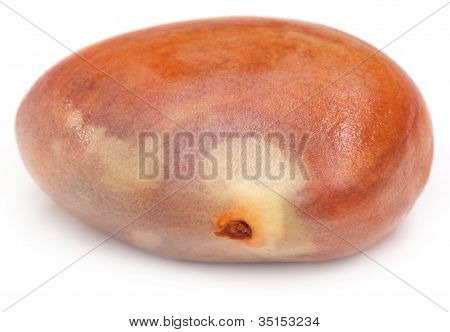 Jedlé semeno jackfruit