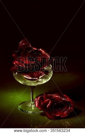 Gorizia, Also Known As Rosa Di Gorizia, An Expensive And Valuable Variety Of Italian Radicchio.