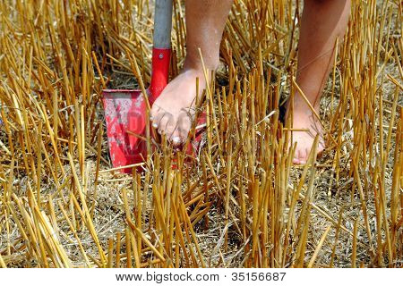 piedi KIF sopra una pala nel campo