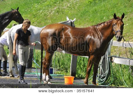 BROMONT INTERNACIONAL