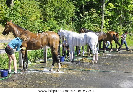 BROMONT INTERNACIONAL