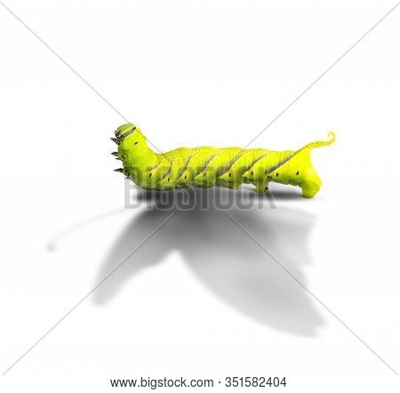 Aspiration Concept And Ambition Idea As A Caterpillar Casting A Shadow Odf A Butterfly As An Achieve