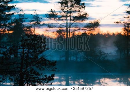 Sunrise In The Bog, Estonian Marsh, Viru Raba Landscape.