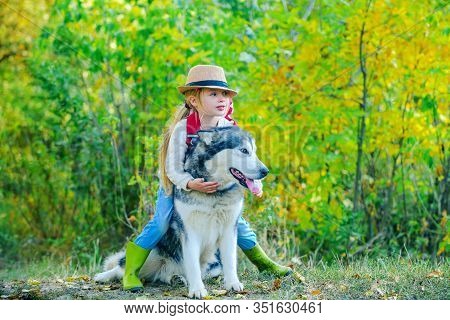 Cule Little Child Girl Snuggling And Hugging Dog, Owner Pet Husky. Love Between Owner And Dog. Cute 