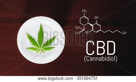 Jar With Hemp Lotion On Dark Background With The Formula Cbd Cannabidiol. Hemp White Lotion. Cannabi