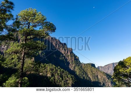 Scenic View On Caldera De Taburiente With Green Pine Forest, Ravines And Rocky Mountains Near Viewpo