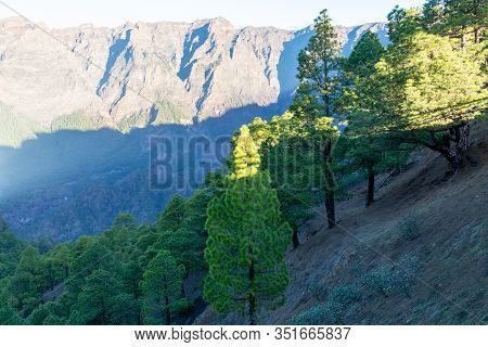 Scenic View On Caldera De Taburiente With Green Pine Forest, Ravines And Rocky Mountains Near Viewpo