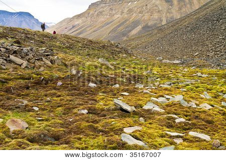 trekking at Svalbard