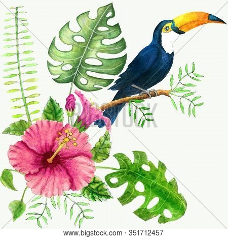 Toucan And Tropical Plants Watercolor Drawing: Hibiscus, Monstera, Palm Leaf. To Create The Design O