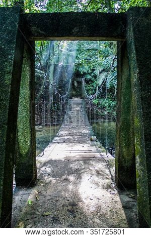 Beautiful Green Bridge In The Deep Jungle