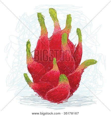 Dragon Fruit