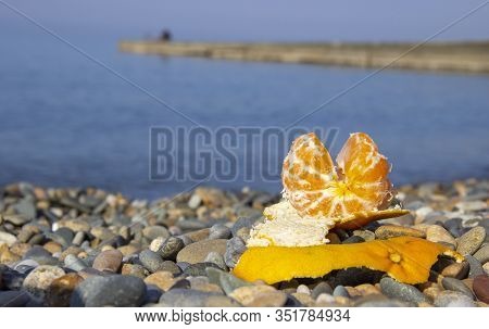 Orange Lies On A Pebbly Beach Against The Sea. Ecotourism And Consumption Of Natural And Organic Fru