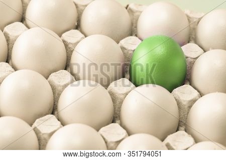 Many White Eggs Laid In Straight Rows In The Egg Cell, And One Green One. Warm Shade, Close-up. Symb