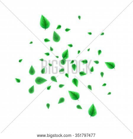 Blurred Fresh Flying Green Leaves, Quality Vector