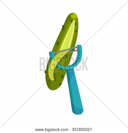 Process Of Peeling Cucumber With Paring Knife Vector Illustration