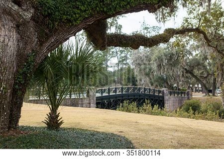 View of live oak trees and bridge in Palmetto Bluff near Bluffton, South Carolina, USA.
