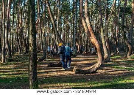 Nowe Czarnowo,gmina Gryfino, Poland - February 8, 2020: Visitors At  The Famous Crooked Forest Krzyw