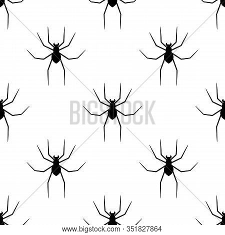Seamless Pattern With Black Silhouette Of Spider On White Background. Halloween Decorative Texture. 