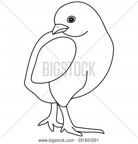 Vector Illustration-cute Chicken Posing. Outline On An Isolated Background. Coloring Book For Childr