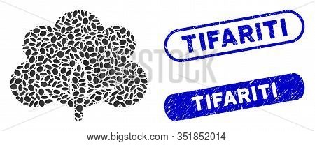 Mosaic Cotton Flower And Distressed Stamp Seals With Tifariti Phrase. Mosaic Vector Cotton Flower Is