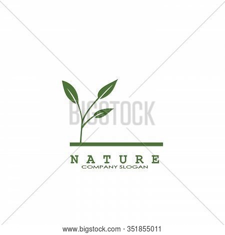 Nature Floral Leaf Logo Vector Design  Concept