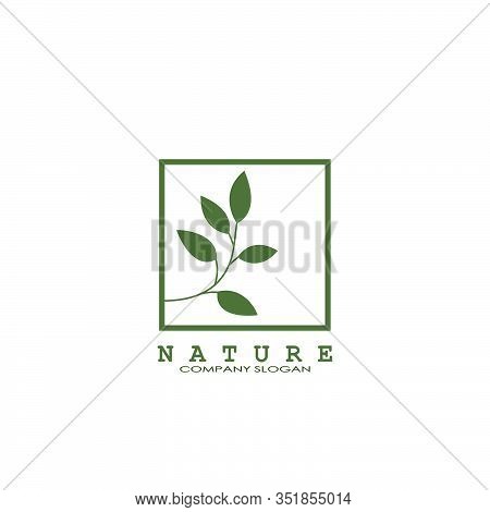 Square Nature Floral Logo. Abstract Vector Logo Design Concept Naturally Floral Leaf With Square Lin