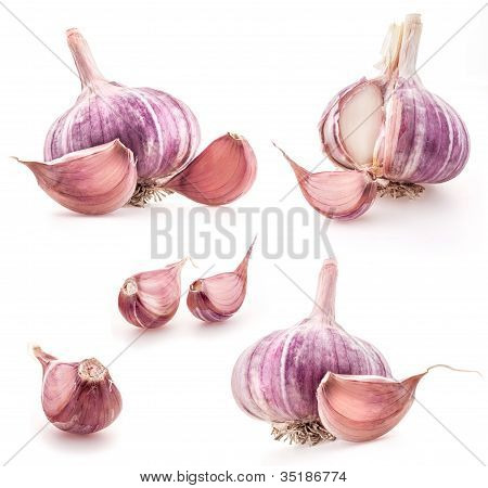 Sammlung von Knoblauch