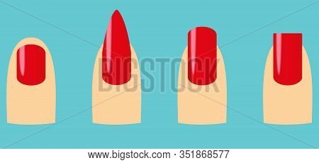 Four Nail Shapes : Oval, Square, Stiletto, Squoval