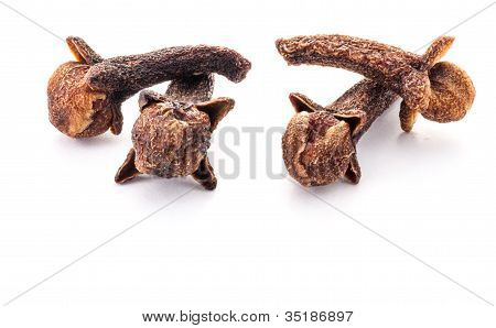 Carnation (spices)