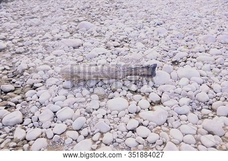Wood On Stone Beside River Beas Himachal Pradesh India