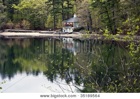 Odbicie w Walden Pond