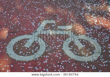 Bicycle Lane sign