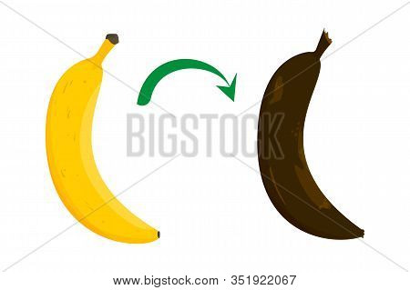 Banana Ripeness Stages Vector Isolated. From Ripe To Rotten. Yellow And Brown Banana Skin. Healthy N