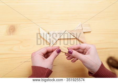 Girl Collects A Wooden Tangram Puzzle On A Wooden Table.