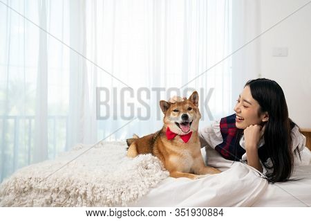 Young Pretty Asian Woman Lying And Placing Hand On Shiba Inu Dog Head On Bed; Shiba Dog Is Famous Ja