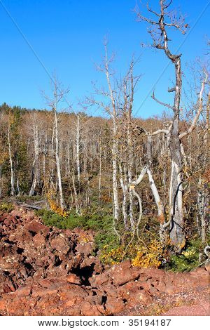 Campo de Lava de Dixie National Forest