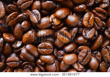 Big Brown Coffee Beans For Roasting Drink Coffee