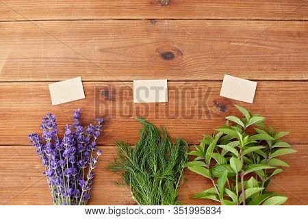 gardening, ethnoscience and herbs concept - bunches of lavender, dill and peppermint with name tags on wooden background
