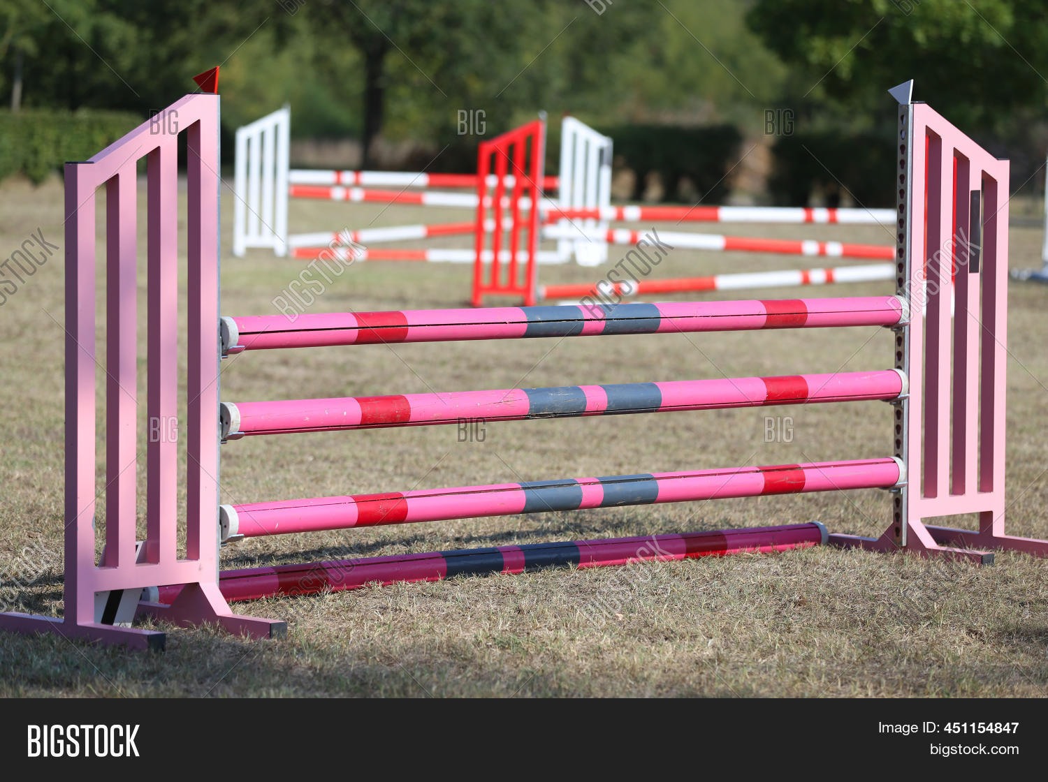 Show Jumping Poles Image & Photo (Free Trial) | Bigstock