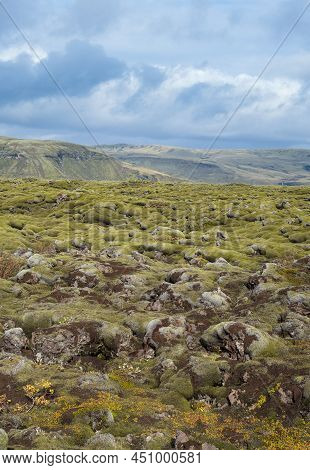 Scenic Autumn Green Lava Fields Near Fjadrargljufur  Canyon In Iceland. Green  Moss On Volcanic Lava