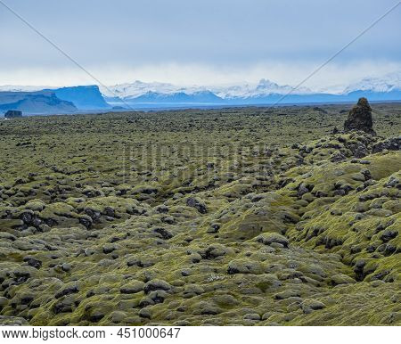 Scenic Autumn Green Lava Fields Near Fjadrargljufur  Canyon In Iceland. Green  Moss On Volcanic Lava
