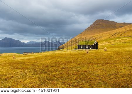 Traditional Faroese Turf Rooftop House On Streymoy Island. Sheep Are Grazing In The Meadow. Gjogv, F